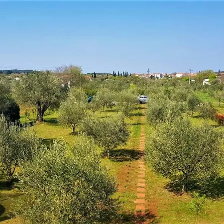 Holiday home Rural Sarisol *
