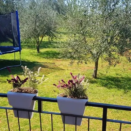 Rural Sarisol Holiday home *