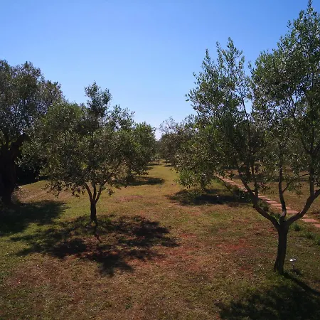 Holiday home Rural Sarisol *