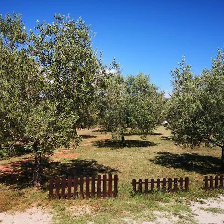 Rural Sarisol Holiday home *