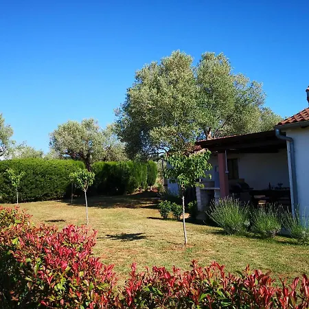 Rural Sarisol